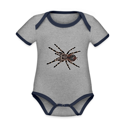 Baby Kontrastbody kurz - Grau meliert/Navy