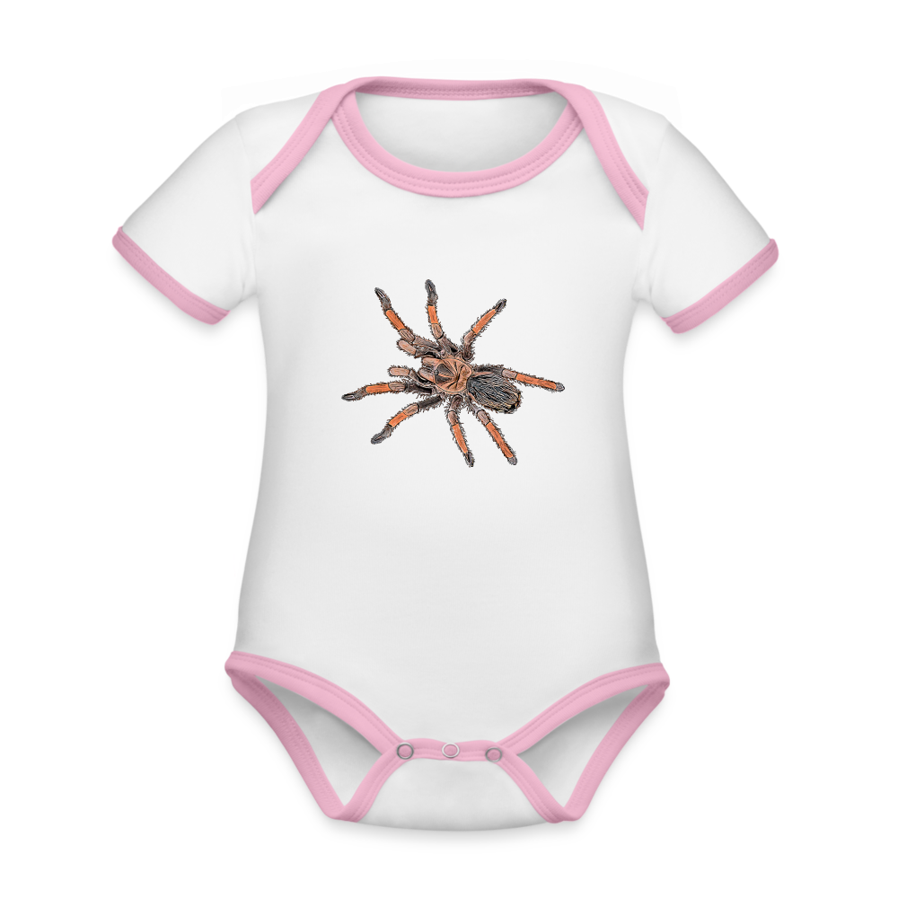 Baby Kontrastbody kurz Brachypelma emilia - Weiß/Rose