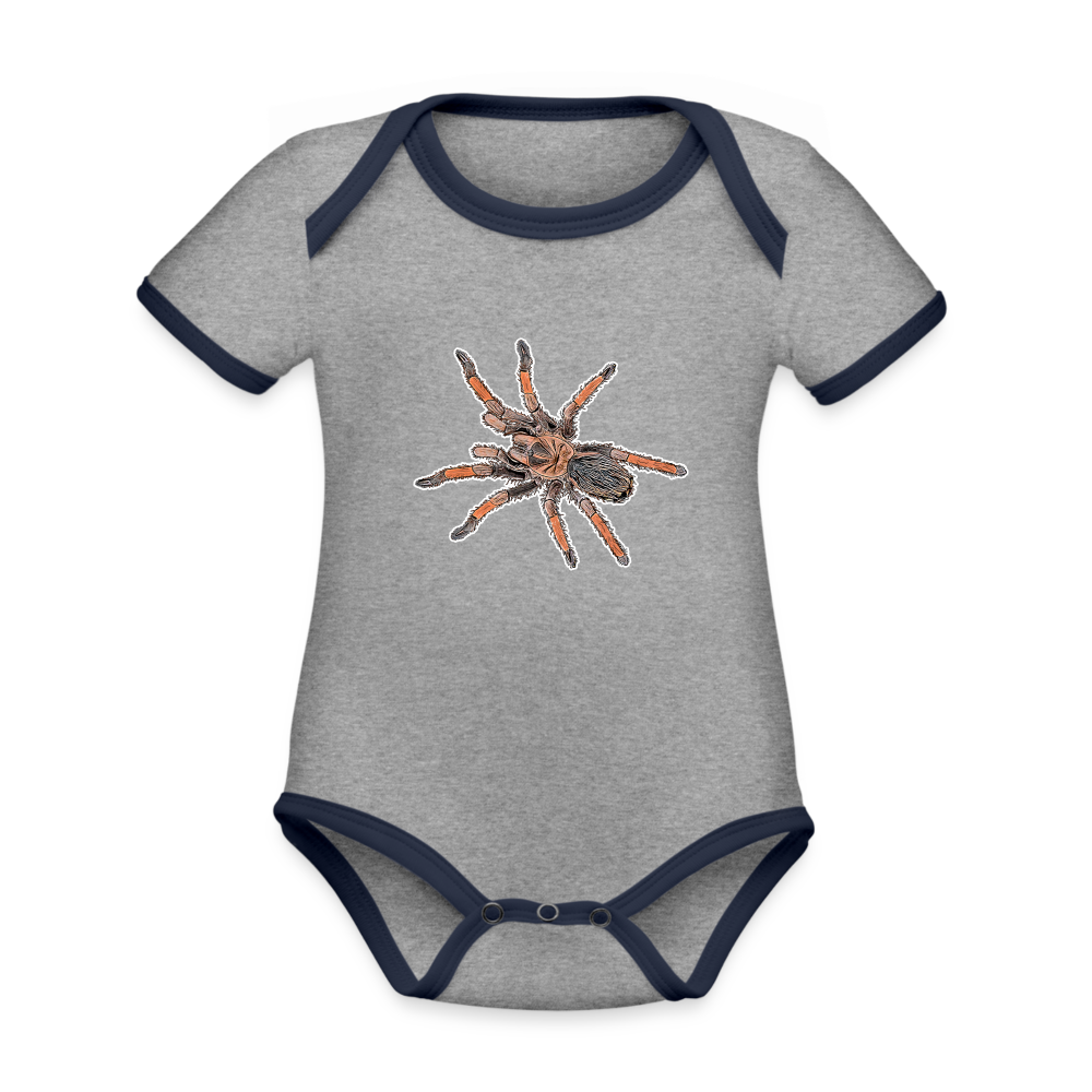 Baby Kontrastbody kurz Brachypelma emilia - Grau meliert/Navy