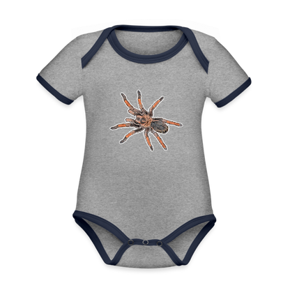 Baby Kontrastbody kurz Brachypelma emilia - Grau meliert/Navy