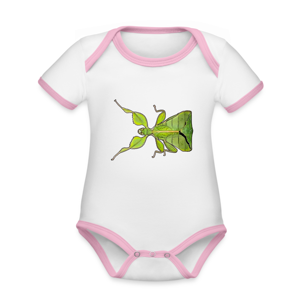 Baby Kontrastbody kurz Phyllium philippinicum female - Weiß/Rose