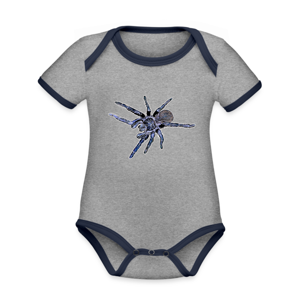 Baby Kontrastbody kurz Pterinopelma sazimai - Grau meliert/Navy