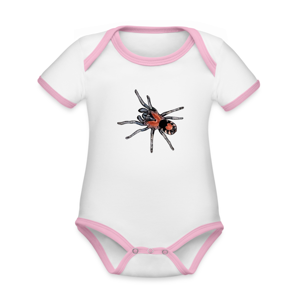 Baby Kontrastbody kurz Cyriocosmus elegans - Weiß/Rose