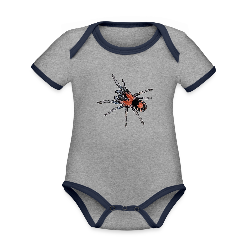 Baby Kontrastbody kurz Cyriocosmus elegans - Grau meliert/Navy