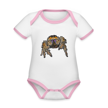 Baby Kontrastbody kurz Phidippus regius Everglades female - Weiß/Rose