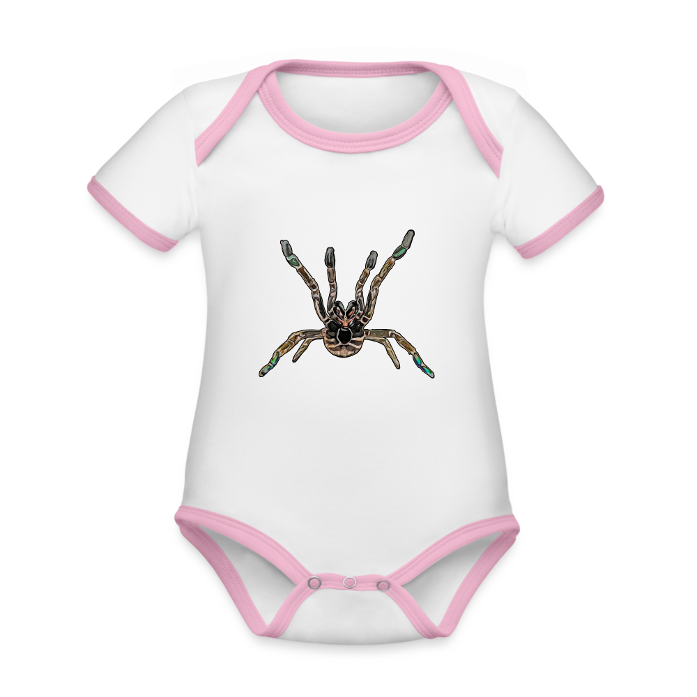 Baby Kontrastbody kurz Pterinochilus murinus tcf - Weiß/Rose