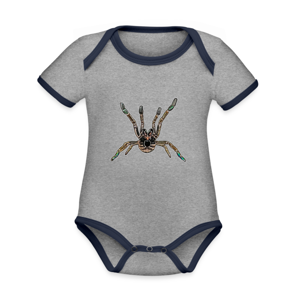 Baby Kontrastbody kurz Pterinochilus murinus tcf - Grau meliert/Navy