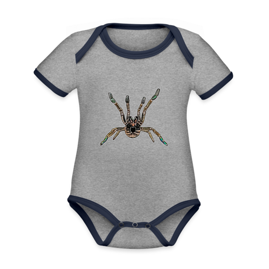 Baby Kontrastbody kurz Pterinochilus murinus tcf - Grau meliert/Navy