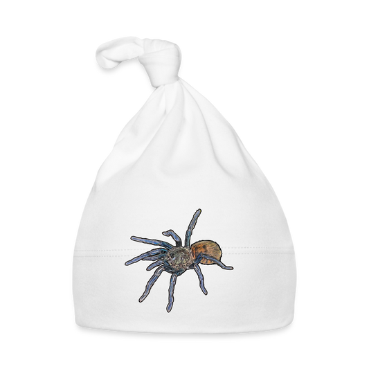 Baby Mützchen Chromatopelma cyaneopubescens - weiß