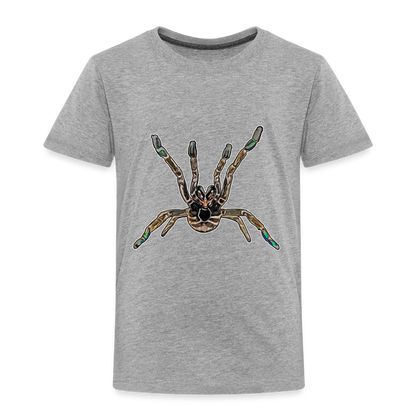 Kinder Basic T-Shirt Pterinochilus murinus tcf - Grau meliert