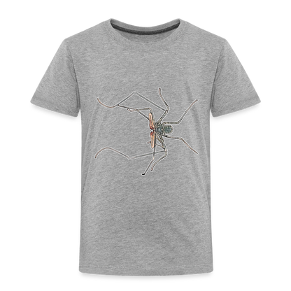 Kinder Basic T-Shirt Euphrynichus bacillifer - Grau meliert