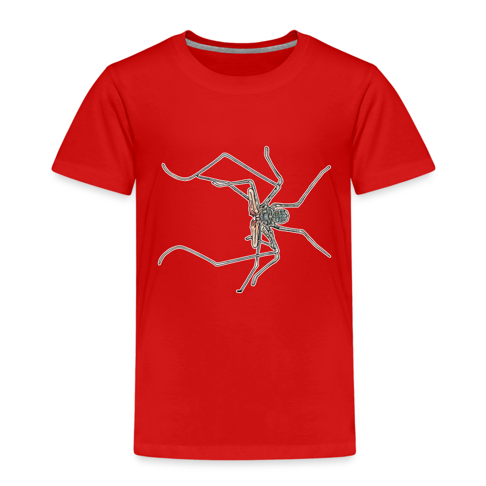 Kinder Basic T-Shirt Euphrynichus bacillifer - Rot
