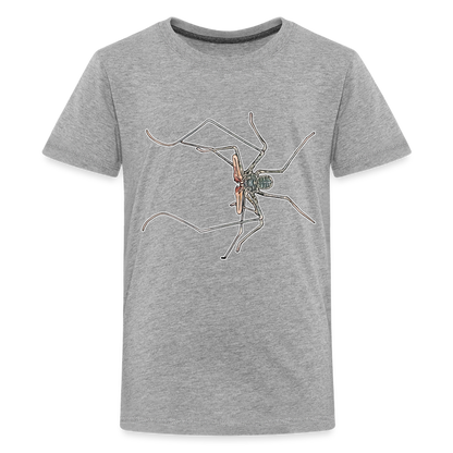 Teenager Basic T-Shirt Euphrynichus bacillifer - Grau meliert