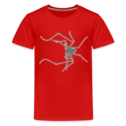 Teenager Basic T-Shirt Euphrynichus bacillifer - Rot