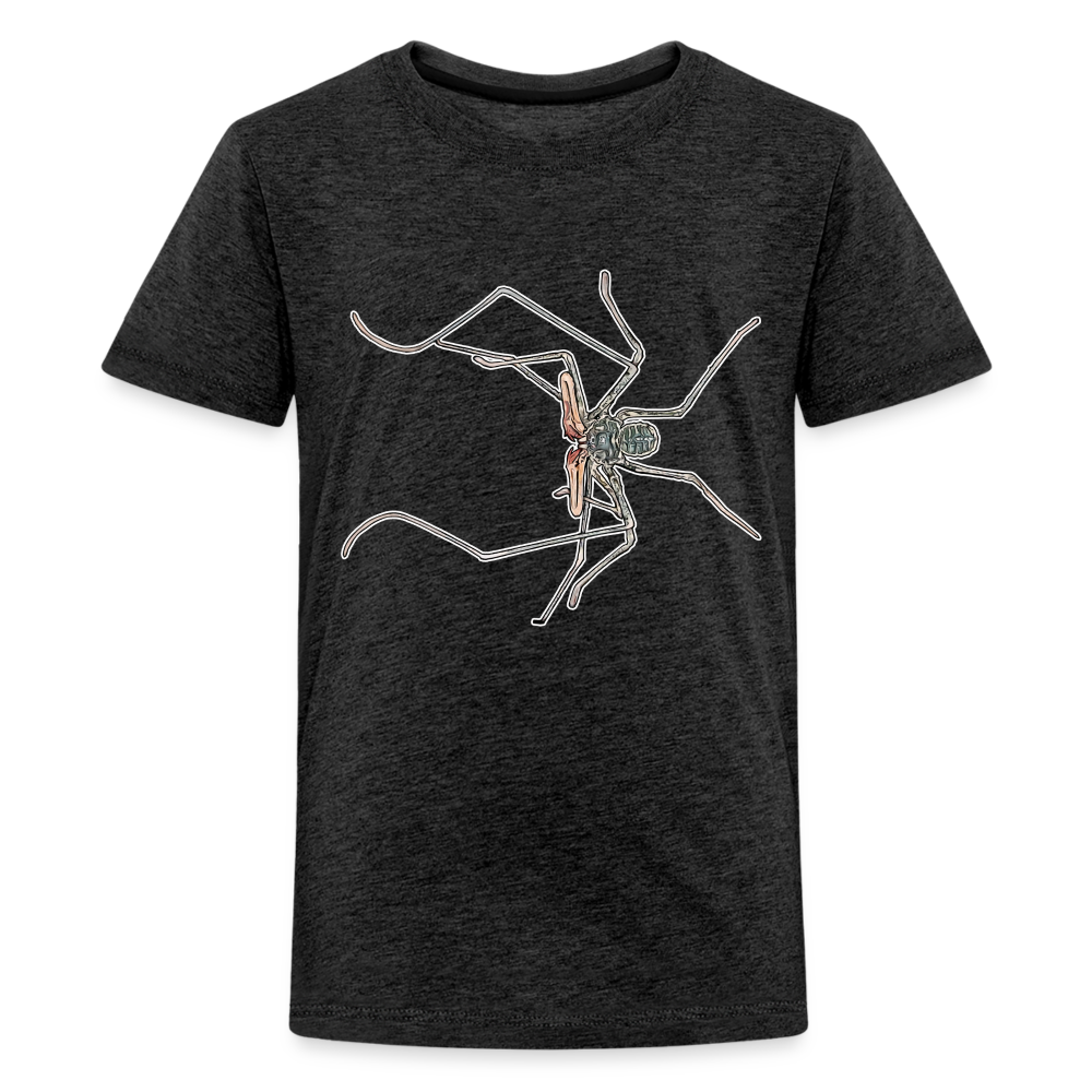 Teenager Basic T-Shirt Euphrynichus bacillifer - Anthrazit