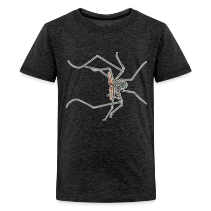 Teenager Basic T-Shirt Euphrynichus bacillifer - Anthrazit