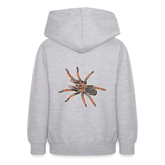 Teenager Hoodie Brachypelma emilia - Hellgrau meliert