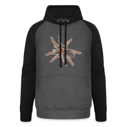 Unisex Baseball Hoodie Brachypelma emilia - Graphit/Schwarz