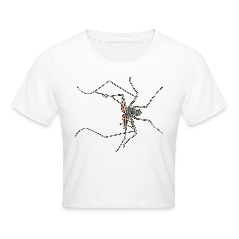 Crop T-Shirt Euphrynichus bacillifer - weiß