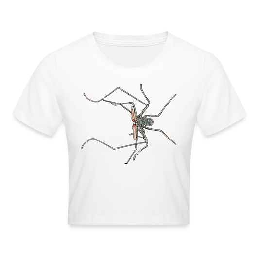 Crop T-Shirt Euphrynichus bacillifer - weiß