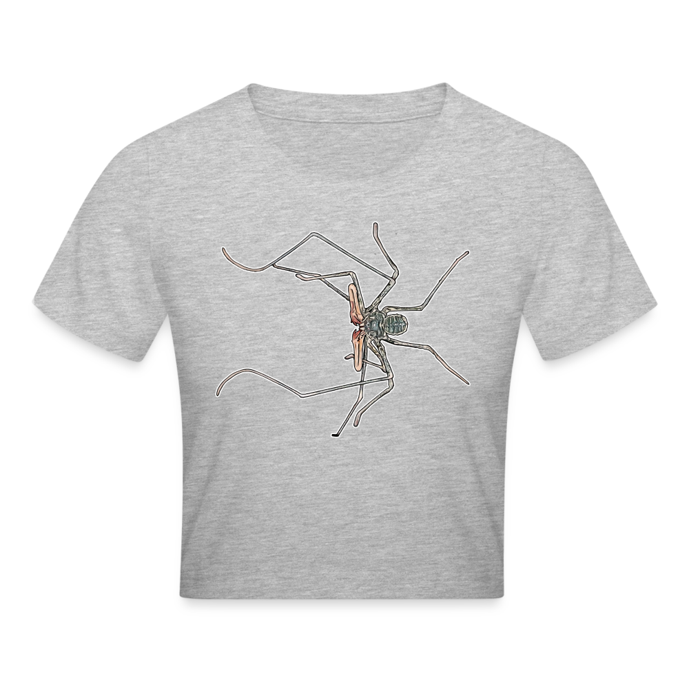 Crop T-Shirt Euphrynichus bacillifer - Grau meliert