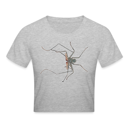 Crop T-Shirt Euphrynichus bacillifer - Grau meliert