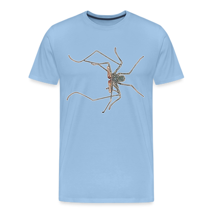 Männer Basic T-Shirt Euphrynichus bacillifer - Sky