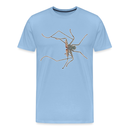 Männer Basic T-Shirt Euphrynichus bacillifer - Sky