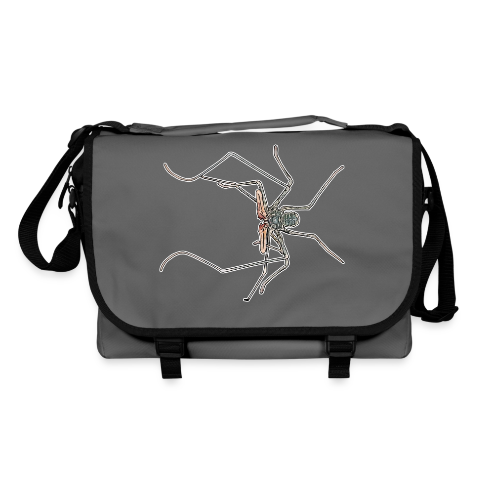 Umhängetasche Euphrynichus bacillifer - Graphit/Schwarz