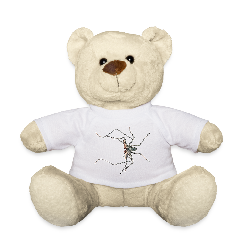 Teddy Euphrynichus bacillifer - weiß