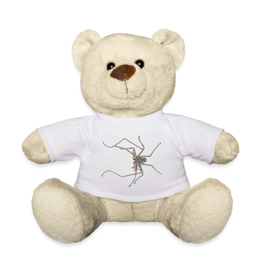 Teddy Euphrynichus bacillifer - weiß