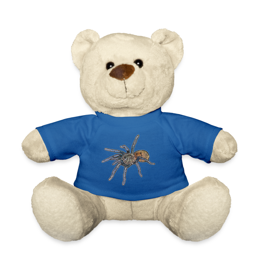 Teddy Chromatopelma cyaneopubescens - Königsblau