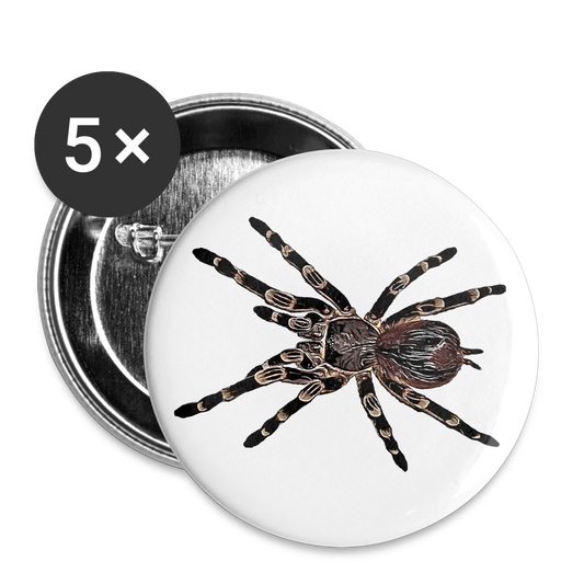 Buttons groß 56 mm (5er Pack) Acanthoscurria geniculata - weiß