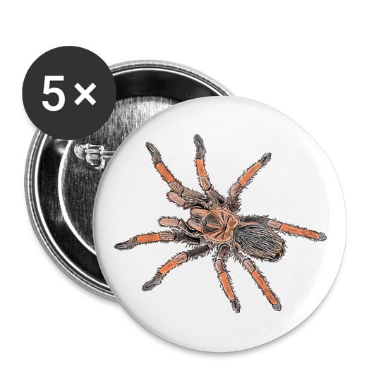 Buttons klein 25 mm (5er Pack) Brachypelma emilia - weiß
