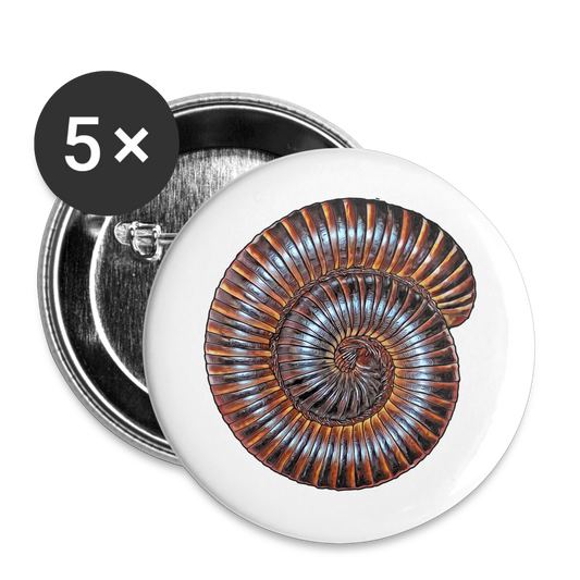 Buttons klein 25 mm (5er Pack) Archispirostreptus gigas - weiß