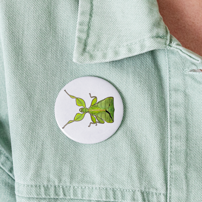 Buttons groß 56 mm (5er Pack) Phyllium philippinicum female - weiß