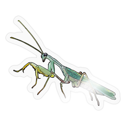 Sticker Sphodromantis lineola male - Transparent glänzend