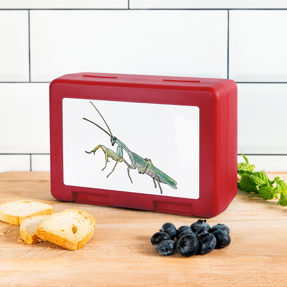 Lunchbox Sphodromantis lineola male - Rot