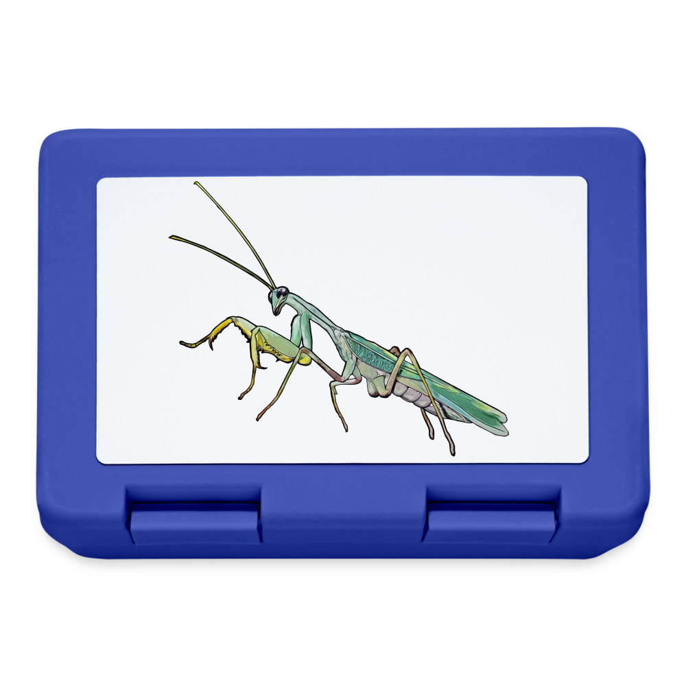 Lunchbox Sphodromantis lineola male - Royalblau