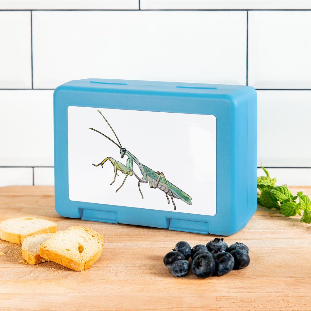 Lunchbox Sphodromantis lineola male - Saphirblau