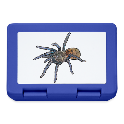 Lunchbox Chromatopelma cyaneopubescens - Royalblau