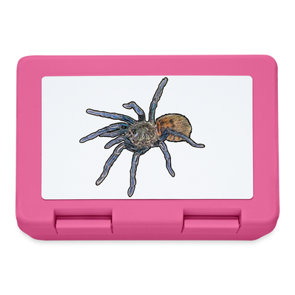 Lunchbox Chromatopelma cyaneopubescens - Pink