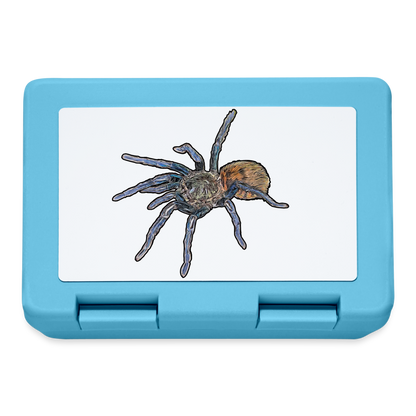 Lunchbox Chromatopelma cyaneopubescens - Saphirblau