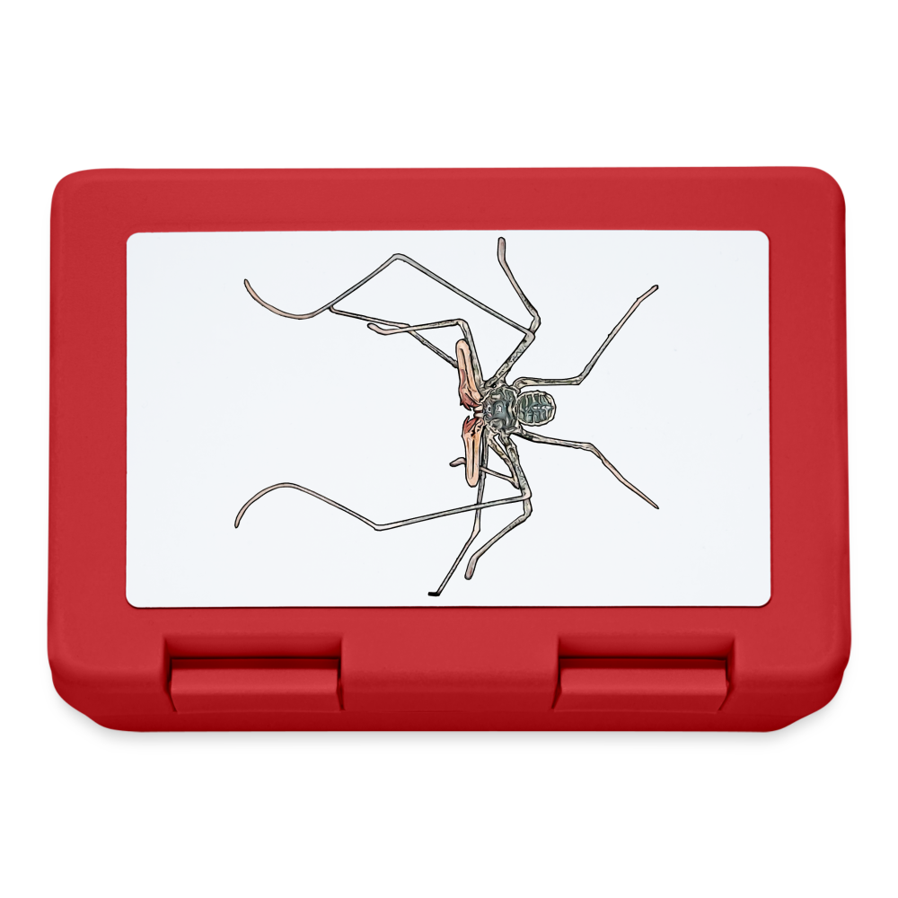Lunchbox Euphrynichus bacillifer - Rot