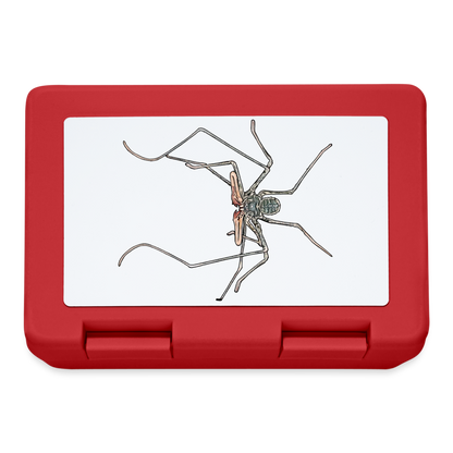 Lunchbox Euphrynichus bacillifer - Rot