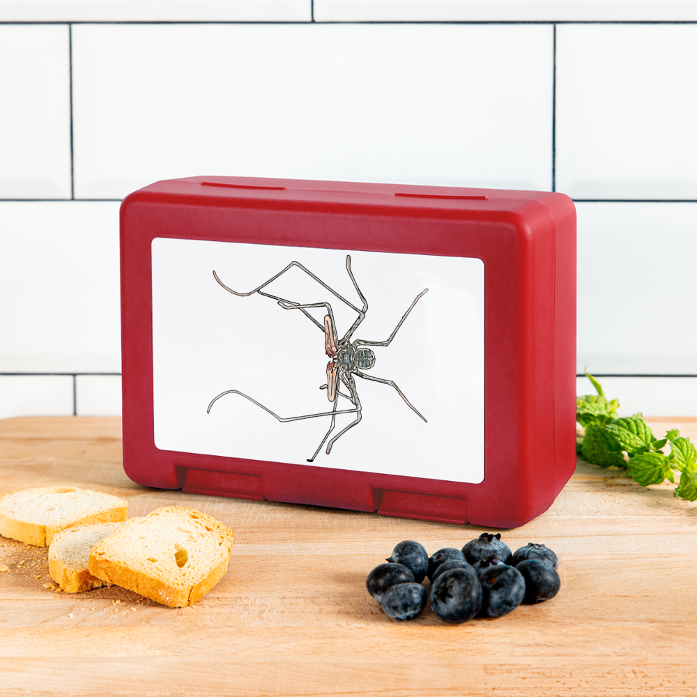 Lunchbox Euphrynichus bacillifer - Rot