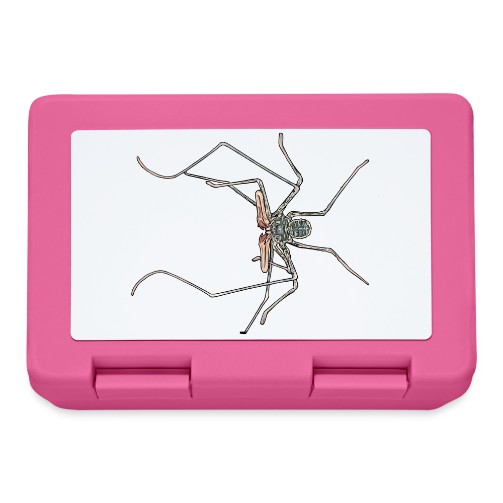 Lunchbox Euphrynichus bacillifer - Pink