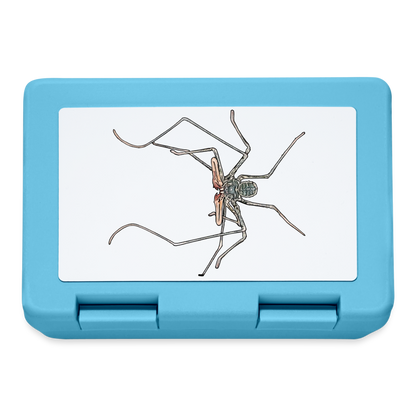 Lunchbox Euphrynichus bacillifer - Saphirblau