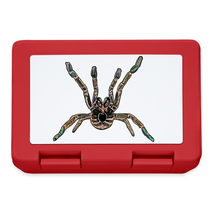 Lunchbox Pterniochilus murinus tcf - Rot