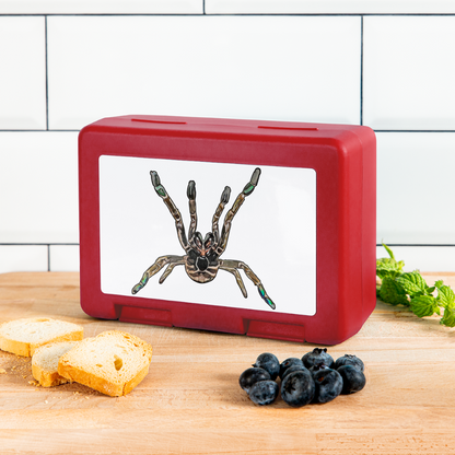 Lunchbox Pterniochilus murinus tcf - Rot